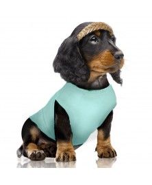 T-Shirt Sandia pour chiens - Milk&Pepper