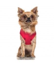 Bubble T-Shirt for dogs - Milk&Pepper