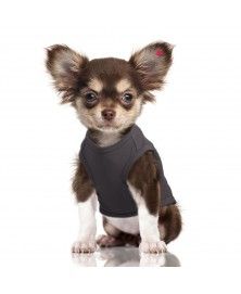 T-Shirt Happy pour chiens - Milk&Pepper
