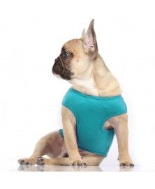 T-shirt Comics pour chiens - Milk&Pepper