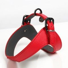 Harnais Parachute Dandy Rouge pour chiens - Milk&Pepper