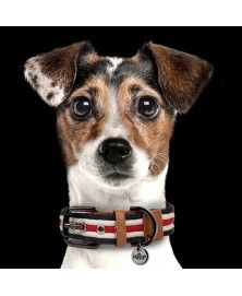 Collier Héritage pour chiens - Milk&Pepper