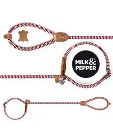 Laisse Lasso Yacht pour chiens - Milk&Pepper