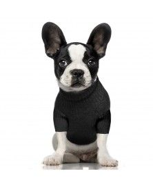 Pull Wizard pour chiens - Milk&Pepper