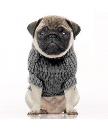 Pull Irish pour chiens - Milk&Pepper