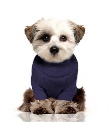 Pull Norah pour chien - Milk&Pepper