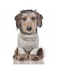 Pull Irish pour chien - Milk&Pepper