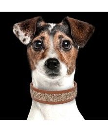 Collier Quartz pour chien - Milk&Pepper