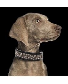 Collier Quartz pour chien - Milk&Pepper