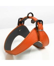 Milk&Pepper Dandy dog's Harness