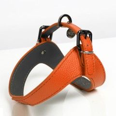 Milk&Pepper Dandy dog's Harness