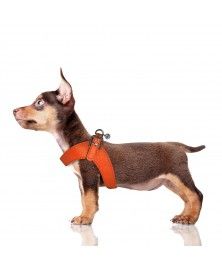 Harnais Parachute Dandy pour chien - Milk&Pepper