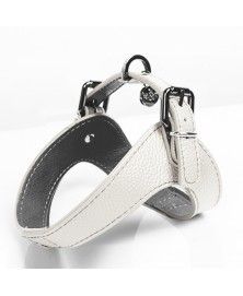 Milk&Pepper Dandy dog's Harness