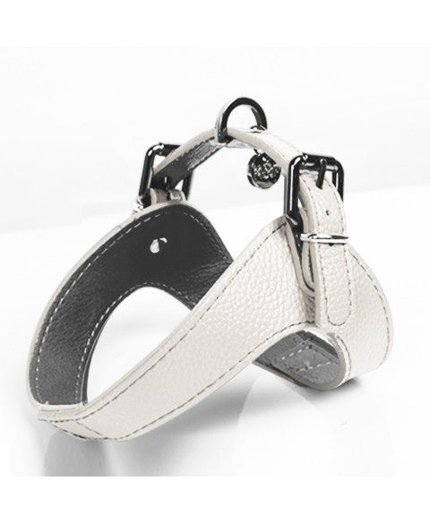Milk&Pepper Dandy dog's Harness
