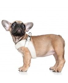 Harnais Parachute Dandy ivoire pour chien Milk&Pepper