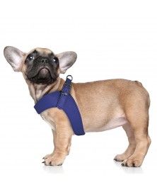 Harnais Parachute Dandy bleu pour chien - Milk&Pepper