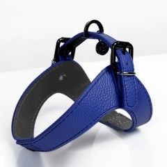 Harnais Parachute Dandy bleu pour chien - Milk&Pepper
