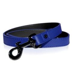 Laisse Dandy bleu pour chien Milk&Pepper