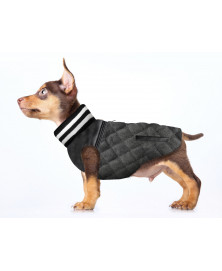 Teddy dog jacket - Milk&Pepper