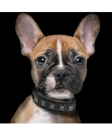 Collier en cuir pour chien Calavera - Milk&Pepper