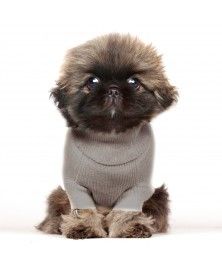 Pull Henrik Gris pour chien - Milk&Pepper