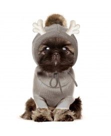 Pull Henrik Gris pour chien - Milk&Pepper