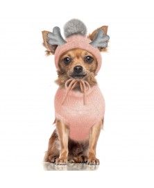 Pull Astrid Rose pour chien - Milk&Pepper