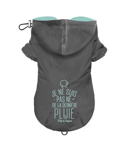 Coupe-Vent Regen Gris pour chien - Milk&Pepper