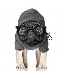Coupe-Vent Regen Gris pour chien - Milk&Pepper
