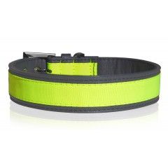 Collier Néon Jaune pour chiens - Milk&Pepper