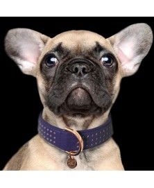 Collier Amaya Indigo pour chiens - Milk&Pepper