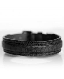 Collier Hogan Noir pour chiens - Milk&Pepper