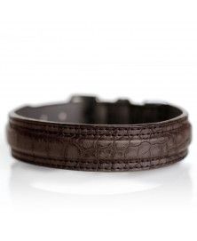 Collier Hogan Marron pour chiens - Milk&Pepper