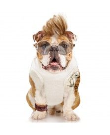 T-Shirt Pool Rouge pour chiens - Milk&Pepper