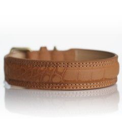 Collier Hogan Camel pour chiens - Milk&Pepper