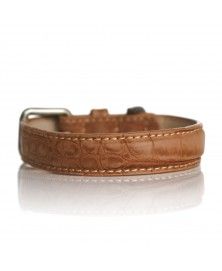 Collier Hogan Camel pour chiens - Milk&Pepper