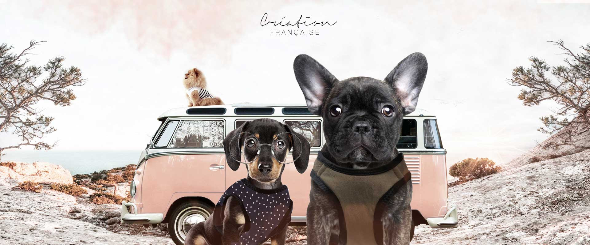 Milk & Pepper, Mode & Accessoires pour Chiens et Chats - Mode été 2024